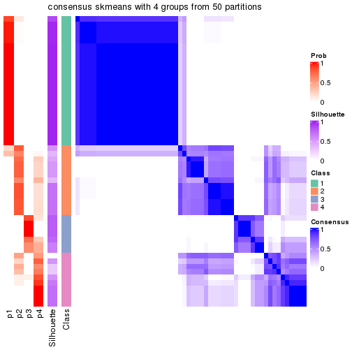 plot of chunk tab-node-01-consensus-heatmap-3