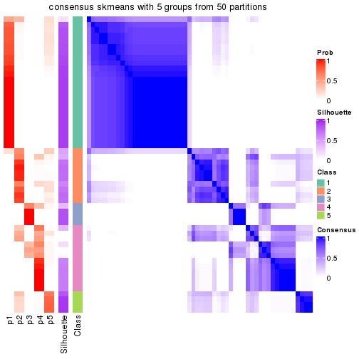 plot of chunk tab-node-01-consensus-heatmap-4