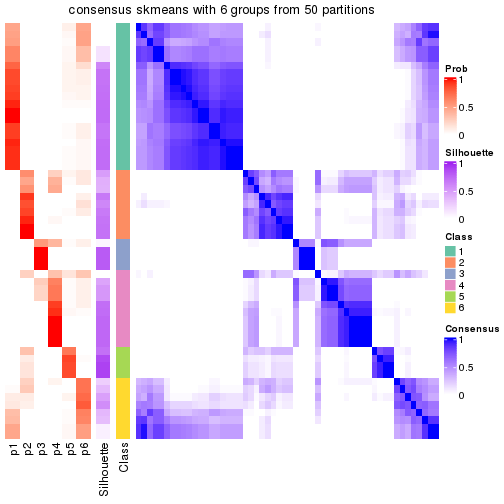 plot of chunk tab-node-01-consensus-heatmap-5