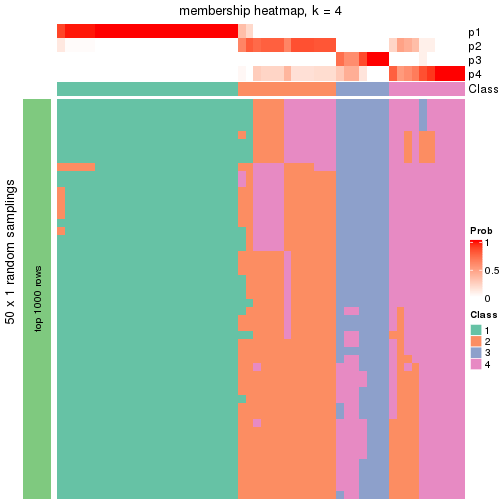 plot of chunk tab-node-01-membership-heatmap-3