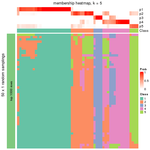 plot of chunk tab-node-01-membership-heatmap-4