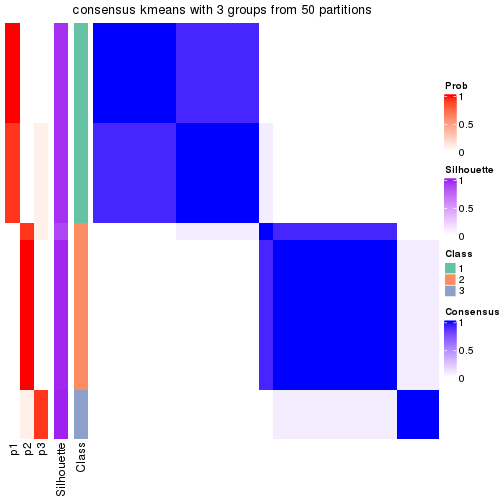 plot of chunk tab-node-011-consensus-heatmap-2