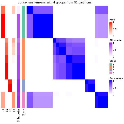 plot of chunk tab-node-011-consensus-heatmap-3