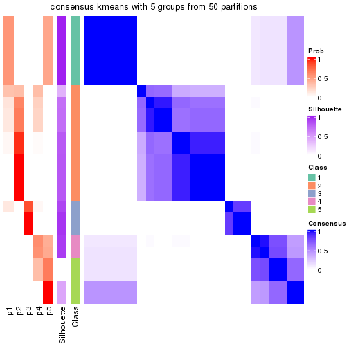 plot of chunk tab-node-011-consensus-heatmap-4