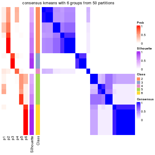 plot of chunk tab-node-011-consensus-heatmap-5