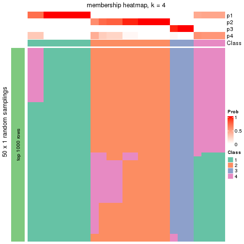 plot of chunk tab-node-011-membership-heatmap-3