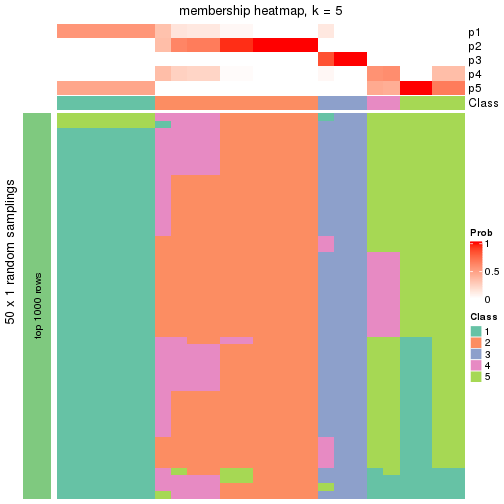 plot of chunk tab-node-011-membership-heatmap-4