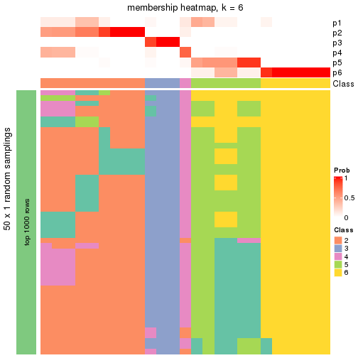 plot of chunk tab-node-011-membership-heatmap-5