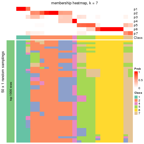 plot of chunk tab-node-011-membership-heatmap-6