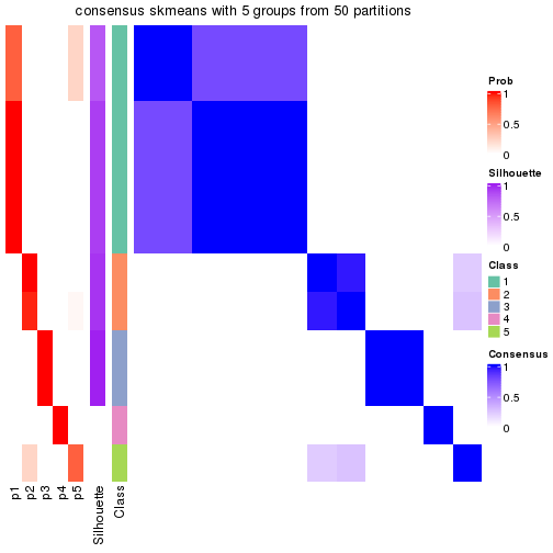 plot of chunk tab-node-0111-consensus-heatmap-4