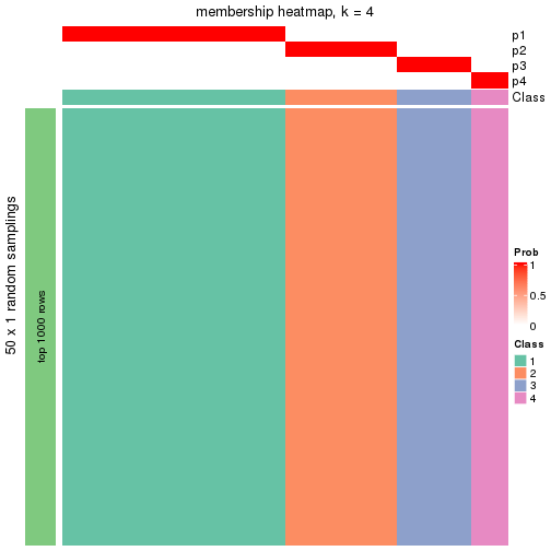 plot of chunk tab-node-0111-membership-heatmap-3