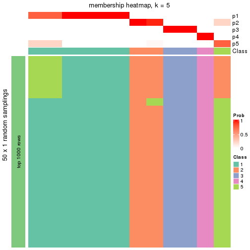 plot of chunk tab-node-0111-membership-heatmap-4