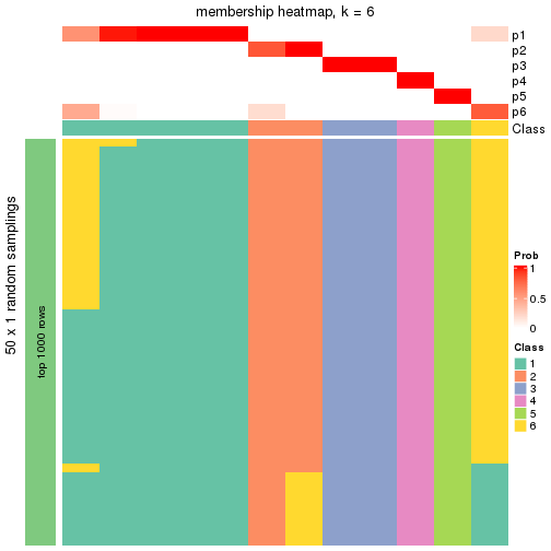 plot of chunk tab-node-0111-membership-heatmap-5