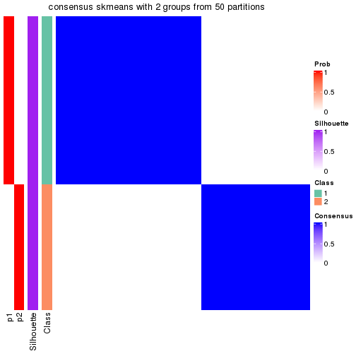 plot of chunk tab-node-012-consensus-heatmap-1