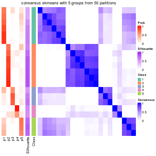 plot of chunk tab-node-012-consensus-heatmap-4