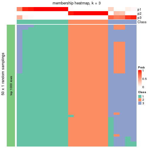 plot of chunk tab-node-012-membership-heatmap-2