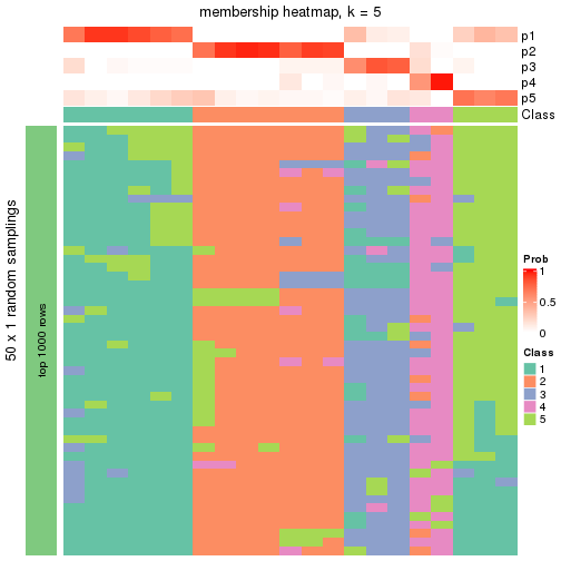 plot of chunk tab-node-012-membership-heatmap-4