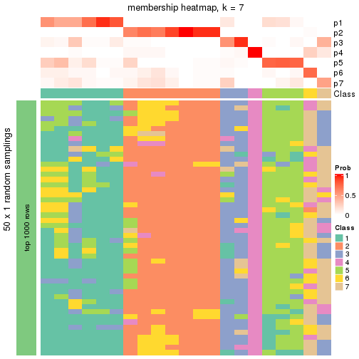 plot of chunk tab-node-012-membership-heatmap-6