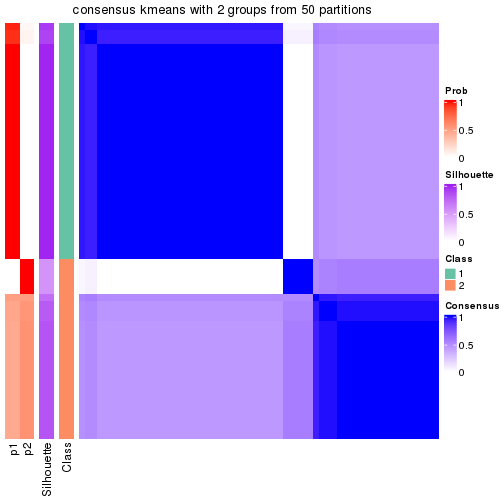 plot of chunk tab-node-02-consensus-heatmap-1