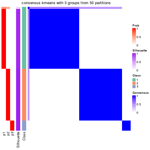 plot of chunk tab-node-02-consensus-heatmap-2