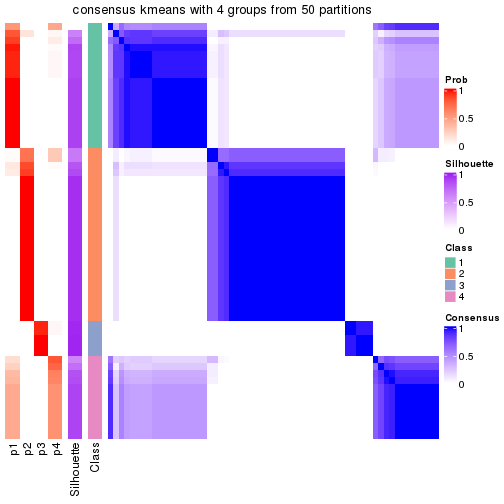 plot of chunk tab-node-02-consensus-heatmap-3