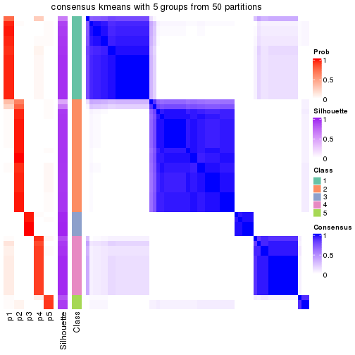 plot of chunk tab-node-02-consensus-heatmap-4