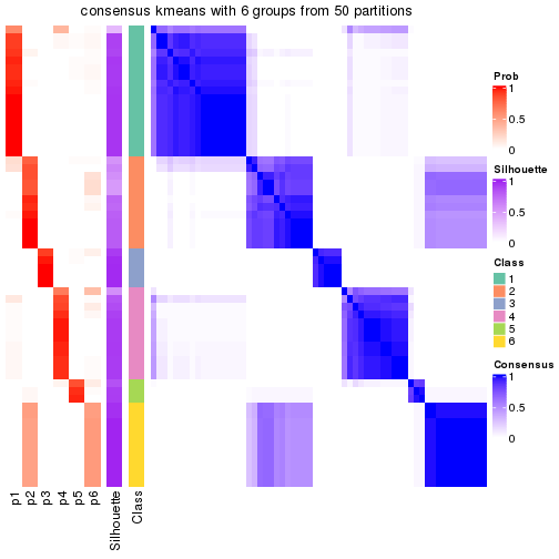 plot of chunk tab-node-02-consensus-heatmap-5