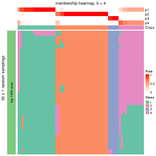 plot of chunk tab-node-02-membership-heatmap-3