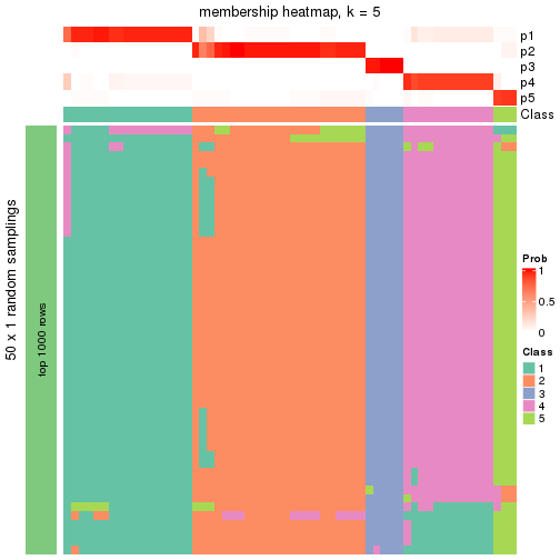 plot of chunk tab-node-02-membership-heatmap-4