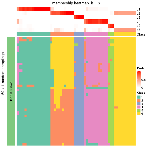 plot of chunk tab-node-02-membership-heatmap-5