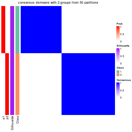 plot of chunk tab-node-021-consensus-heatmap-1