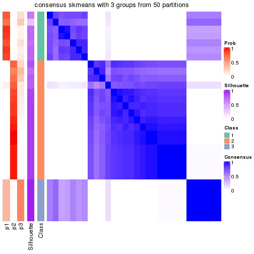 plot of chunk tab-node-021-consensus-heatmap-2