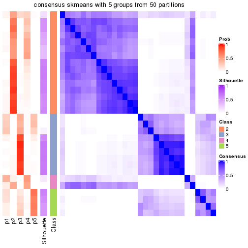 plot of chunk tab-node-021-consensus-heatmap-4