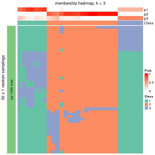 plot of chunk tab-node-021-membership-heatmap-2