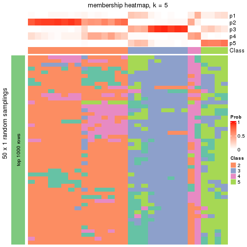 plot of chunk tab-node-021-membership-heatmap-4