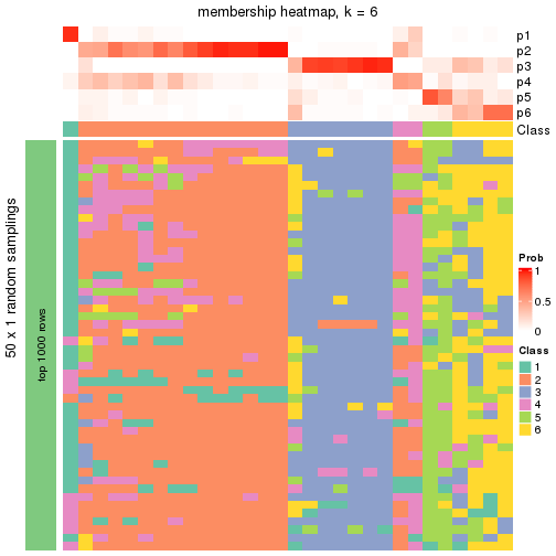 plot of chunk tab-node-021-membership-heatmap-5