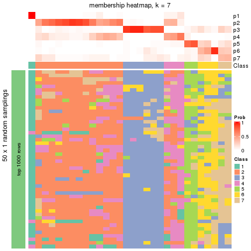 plot of chunk tab-node-021-membership-heatmap-6