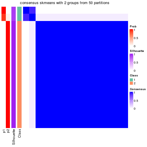 plot of chunk tab-node-0212-consensus-heatmap-1