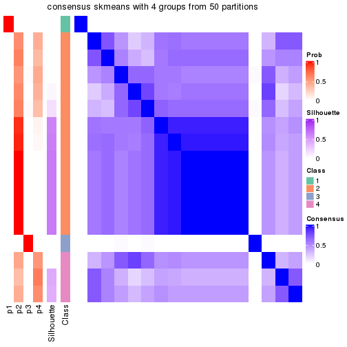 plot of chunk tab-node-0212-consensus-heatmap-3