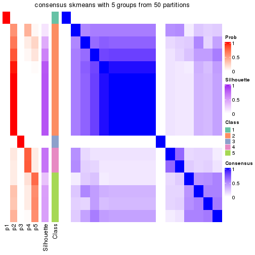 plot of chunk tab-node-0212-consensus-heatmap-4