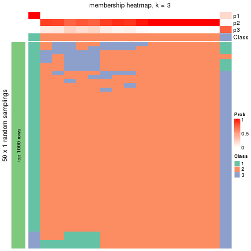 plot of chunk tab-node-0212-membership-heatmap-2