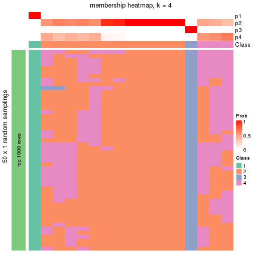 plot of chunk tab-node-0212-membership-heatmap-3