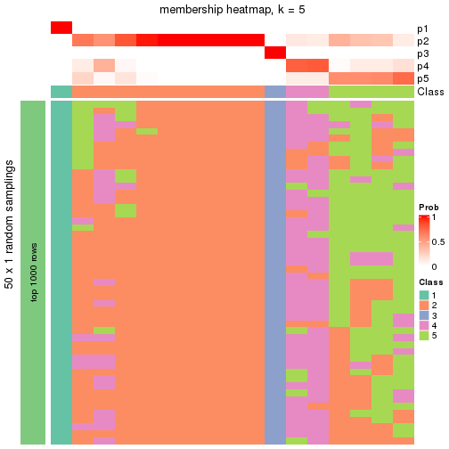 plot of chunk tab-node-0212-membership-heatmap-4