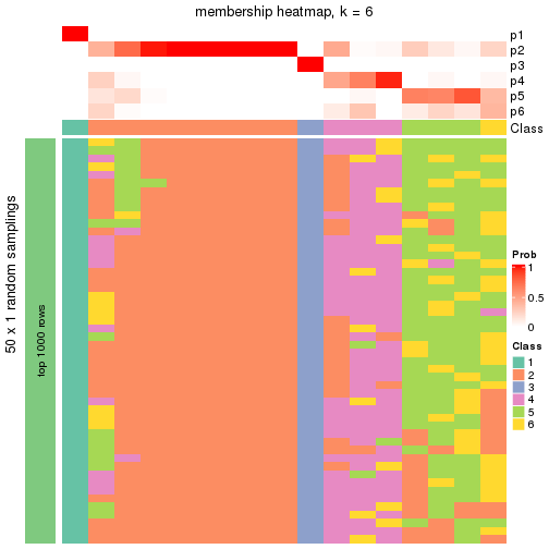 plot of chunk tab-node-0212-membership-heatmap-5