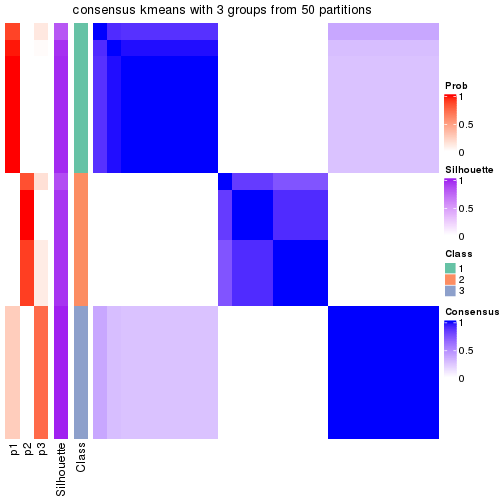 plot of chunk tab-node-022-consensus-heatmap-2