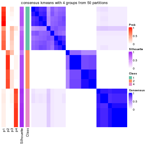 plot of chunk tab-node-022-consensus-heatmap-3