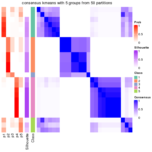 plot of chunk tab-node-022-consensus-heatmap-4