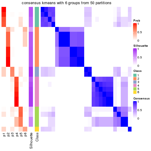 plot of chunk tab-node-022-consensus-heatmap-5