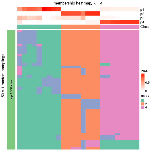 plot of chunk tab-node-022-membership-heatmap-3