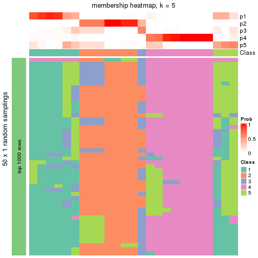 plot of chunk tab-node-022-membership-heatmap-4